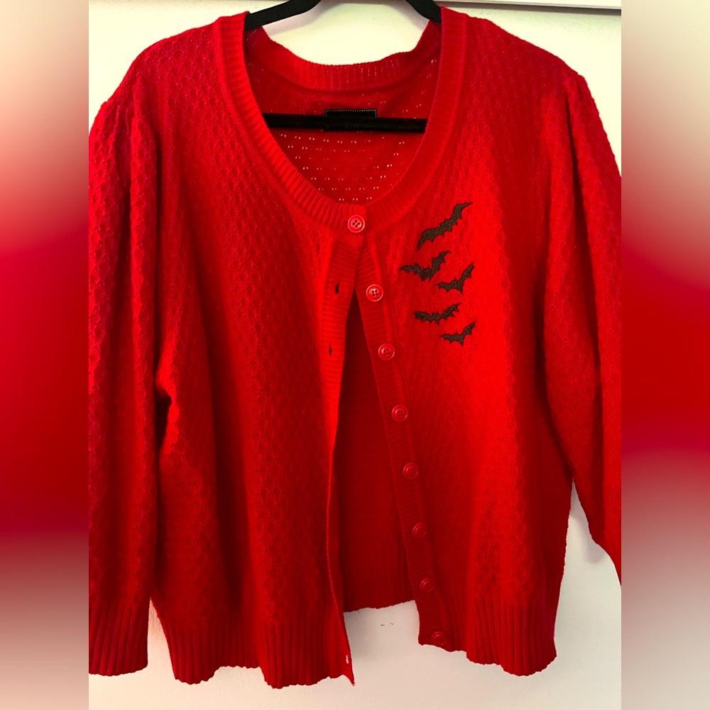 Brand New Embroidered Cardigan